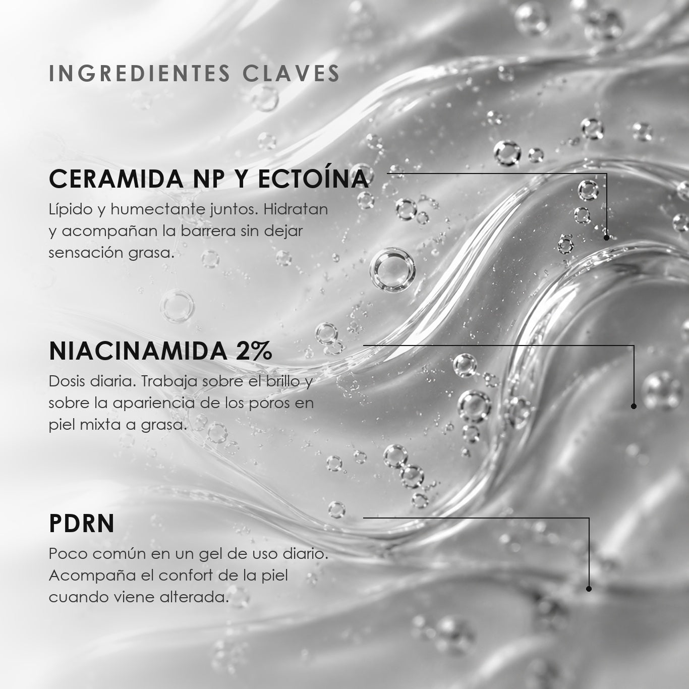 Ingredientes clave de Gel Hidratante de ÁNIMUS Lab: ceramida np y ectoína, niacinamida 2%, pdrn.
