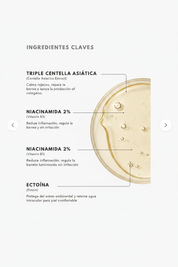 Ingredientes clave Esencia de Centella Asiática - Triple Centella, Niacinamida, Ectoína